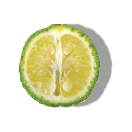 DESERT LIME DESERT LIME