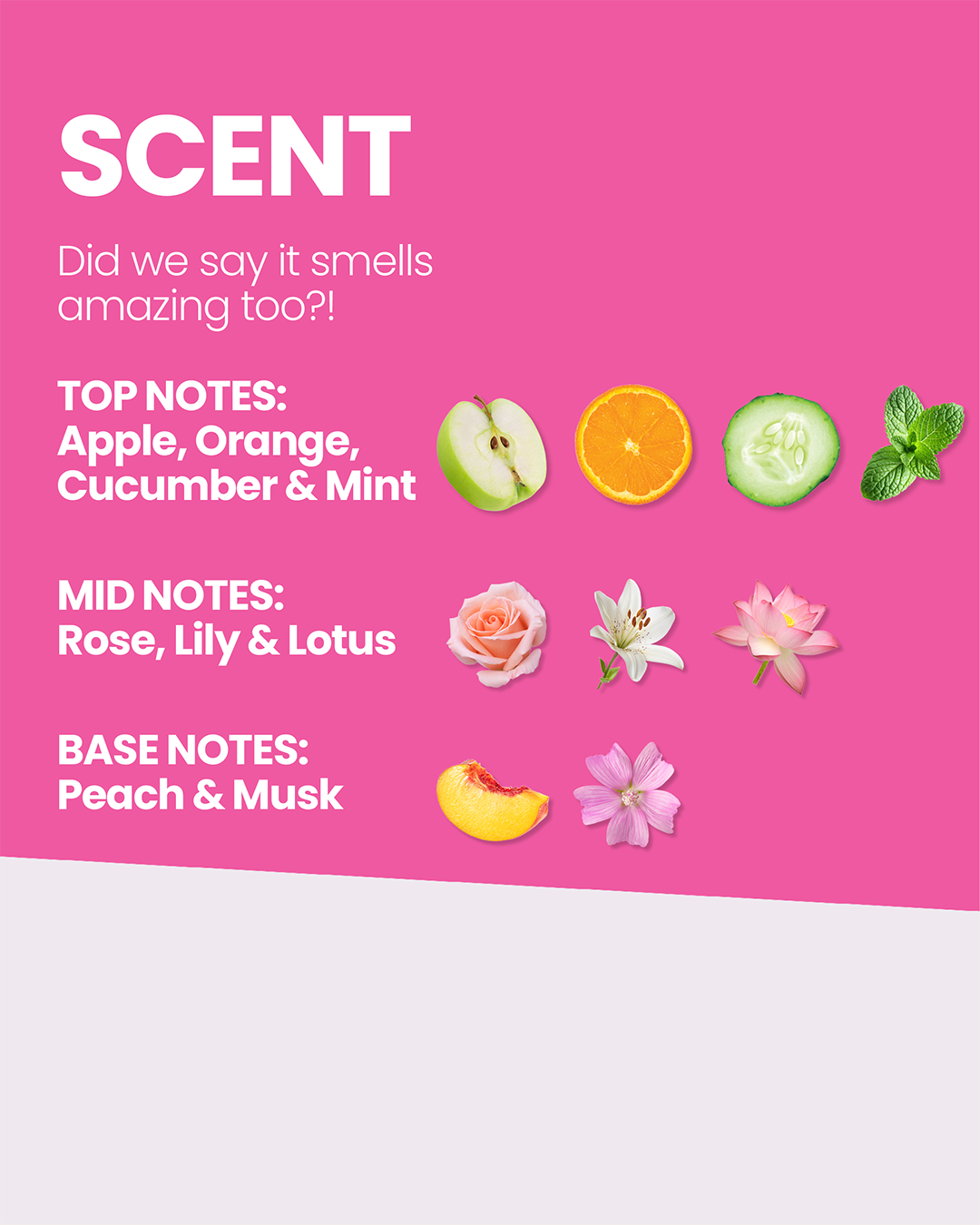 SMOOTH ME NOW FLYAWAY HAIR BALM