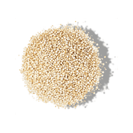 HYDROLYSED QUINOA HYDROLYSED QUINOA