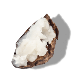 SHEA BUTTER SHEA BUTTER