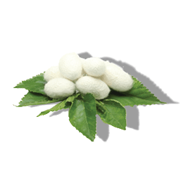SILK AMINO ACIDS SILK AMINO ACIDS