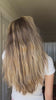 Amy Ann Morris - Full Digital (web, email, social, etc.) - expires never - EU: territory not stated in licence, cleared by Jesse 2026-09-18