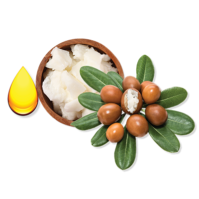 SHEA BUTTER & ARGAN OIL